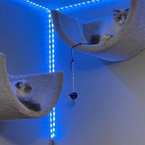 New Wall mounted cat bed - Picture 5 of 16